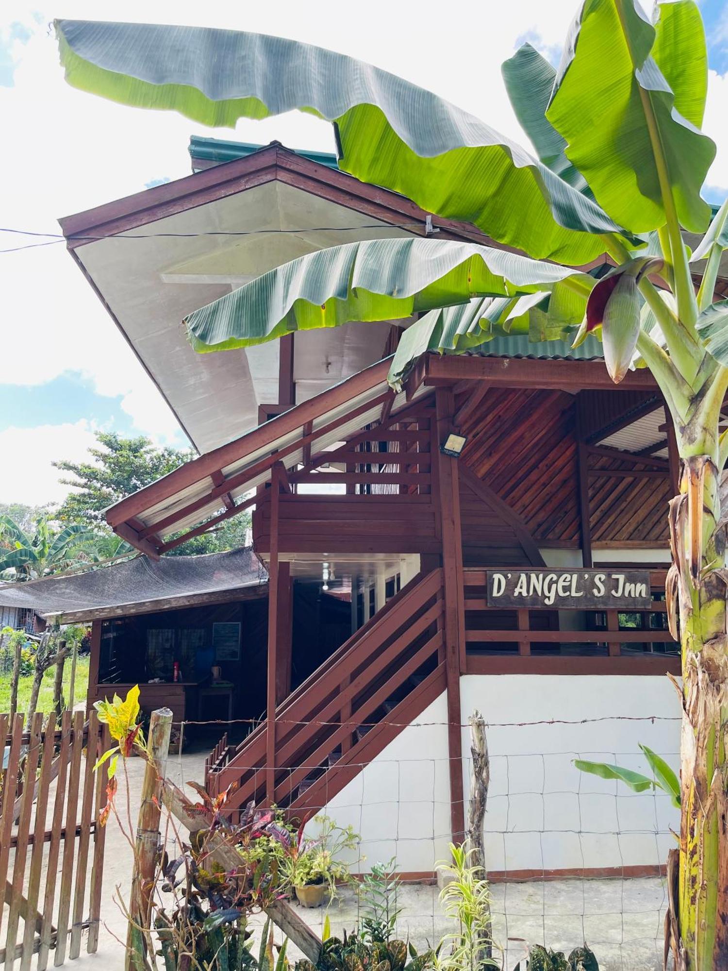 D' Angels Inn, Port Barton سان فيسنتي المظهر الخارجي الصورة